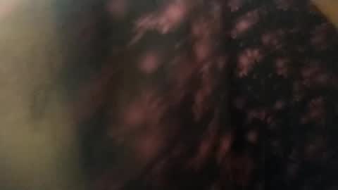 Snapshot of salmonman1305 chatting on January 17, 11:49 am salmonman1305 online show from January 17, 11:49 am