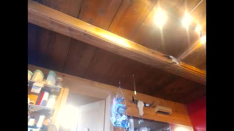 salsapaulus online show from April 13, 12:10 pm