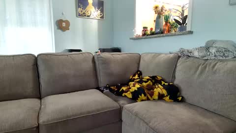 Salty Captain 69  Hat Girl 69 online show from September 19, 9:37 pm