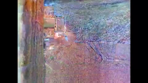 sam5554401727 online show from April 26, 8:28 pm