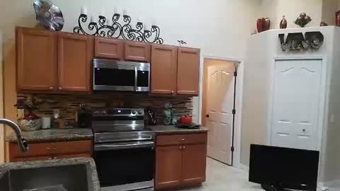 sam_papithebarber online show from November 6, 4:24 am