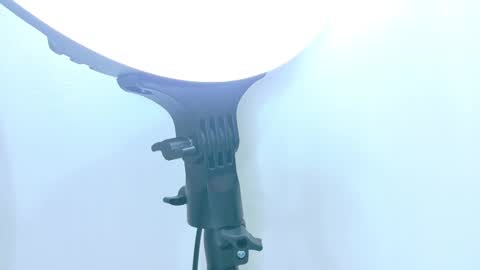   online show from November 17, 12:00 pm