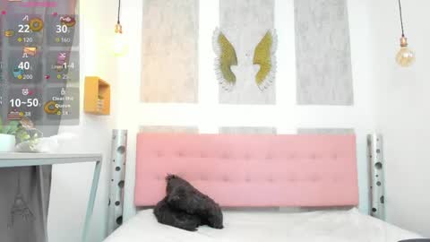    online show from April 21, 11:16 am