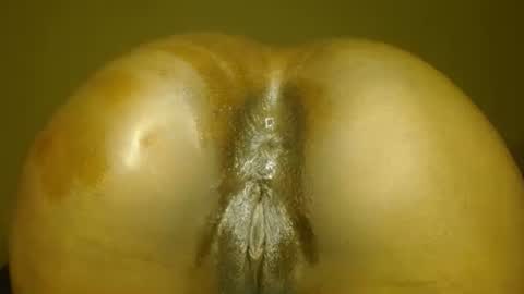 Snapshot of samanthjey chatting on November 14, 7:12 pm manth online show from November 14, 7:12 pm