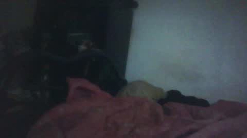 Samedisamedi1nouveau online show from October 18, 11:33 am