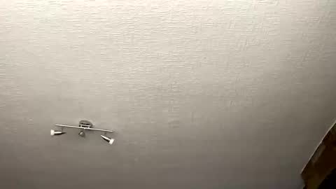 samegee online show from October 1, 7:25 am