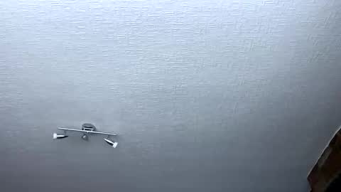 samegee online show from October 6, 7:28 am