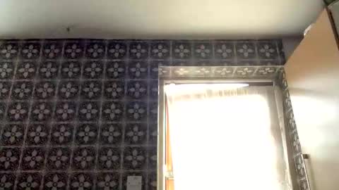 samegee online show from October 16, 7:20 am