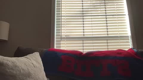 Playful Sammie online show from January 18, 3:49 pm