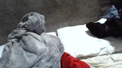 Snapshot of samuel987017 chatting on December 20, 6:08 am samuel987017 online show from December 20, 6:08 am