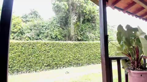 Samuel online show from December 12, 6:42 pm