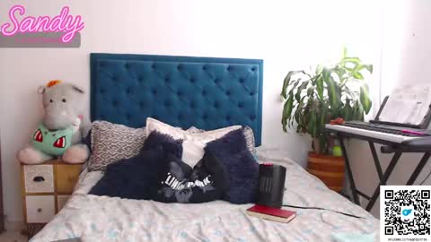 Sandy Prinss online show from April 15, 4:03 pm