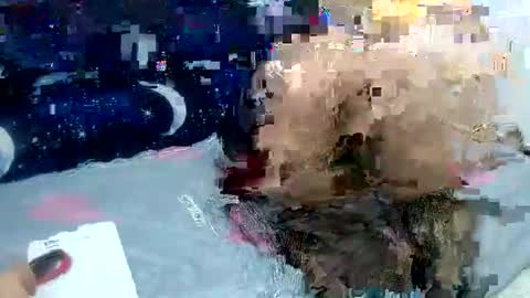 Snapshot of sara_love43 chatting on February 2, 3:54 am Sara love online show from February 2, 3:54 am