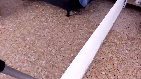 sara_salgado online show from February 22, 11:09 am