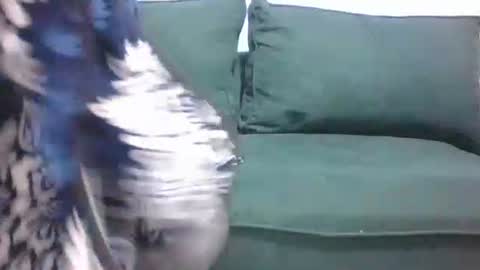 sarah_haggai online show from November 4, 4:11 am