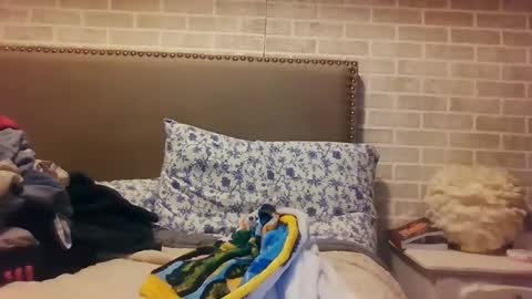 Sara online show from December 15, 12:07 am