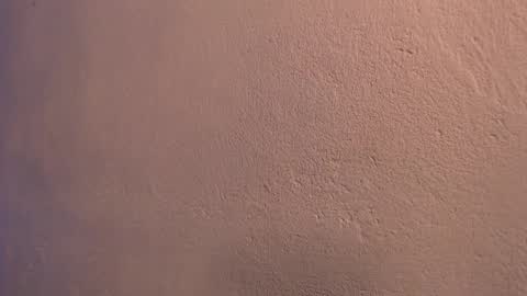 sarita  online show from April 21, 2:51 am