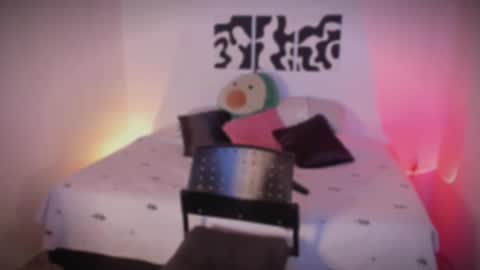 Snapshot of sarrah_3 chatting on November 25, 10:43 pm Sara online show from November 25, 10:43 pm