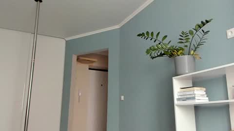 Sasha online show from February 1, 6:54 am