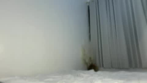Snapshot of sassykayla chatting on May 15, 1:07 pm sassykayla online show from May 15, 1:07 pm