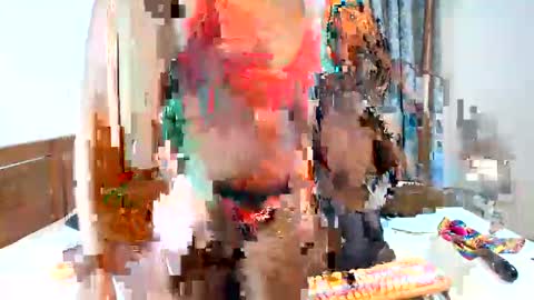 Candy and Lexxy online show from December 4, 2:20 am