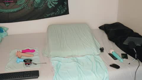 Snapshot of savethebea chatting on December 29, 4:30 pm Bea online show from December 29, 4:30 pm