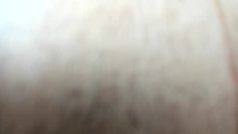 Snapshot of sayo_mao18 chatting on September 24, 1:53 am sayo_mao18 online show from September 24, 1:53 am