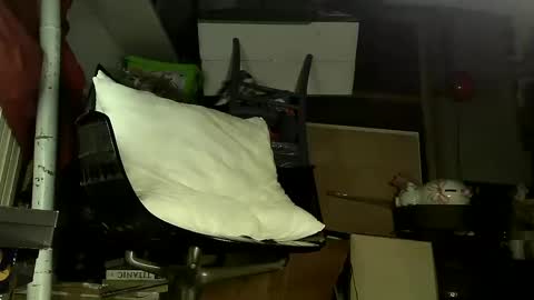 Snapshot of sbamx chatting on December 17, 5:29 am Sbamx online show from December 17, 5:29 am