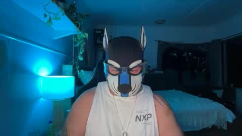 Snapshot of sc212 chatting on February 22, 12:15 pm Sunny Coast online show from February 22, 12:15 pm