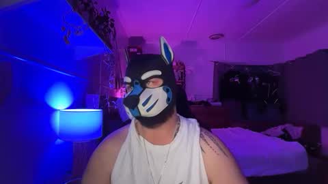 Snapshot of sc212 chatting on March 15, 2:45 pm Sunny Coast online show from March 15, 2:45 pm