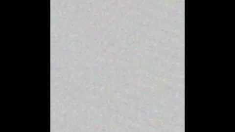 Venus online show from November 16, 2:00 pm