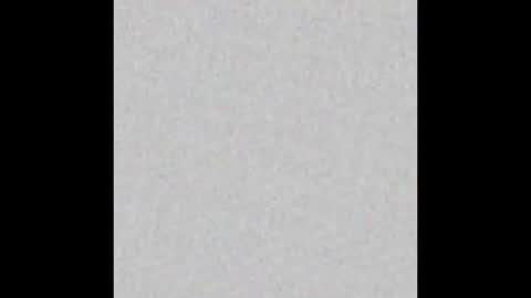 Venus online show from December 4, 2:04 pm