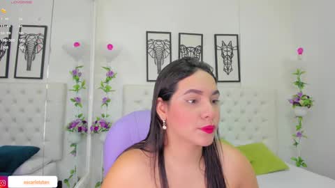 Snapshot of scarlet_stan22 chatting on December 14, 11:07 am Isa online show from December 14, 11:07 am