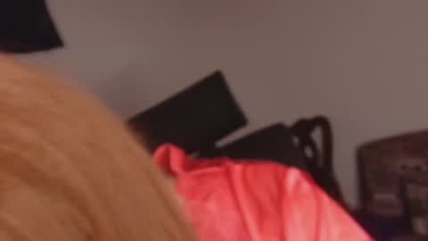 scarlet online show from February 23, 1:19 pm