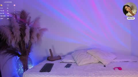 scarlet  online show from February 10, 11:03 am