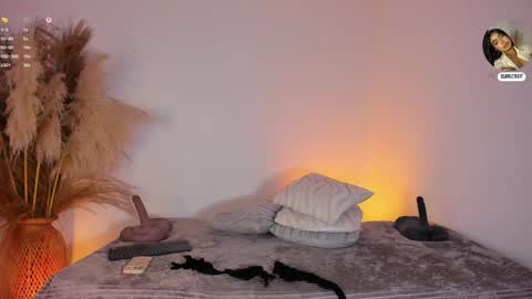 Snapshot of scarlett_keitt chatting on June 6, 11:48 am scarlet online show from June 6, 11:48 am