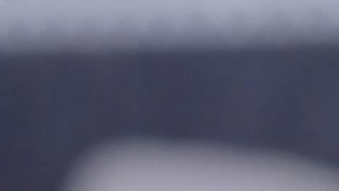 Scarlett online show from February 7, 4:03 pm