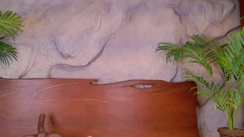 scarlettsinclaiir_ online show from June 8, 4:02 am