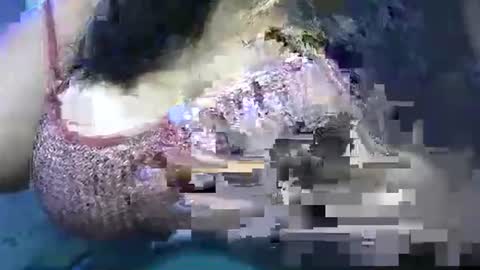 Snapshot of schoco_milf chatting on April 25, 10:40 am mai latina online show from April 25, 10:40 am
