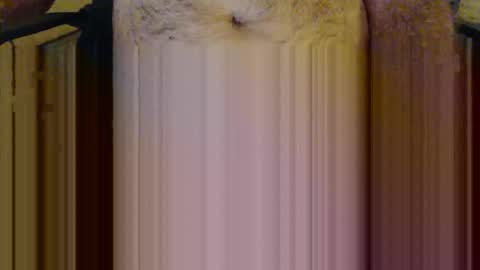 scott1usa online show from March 6, 9:00 pm