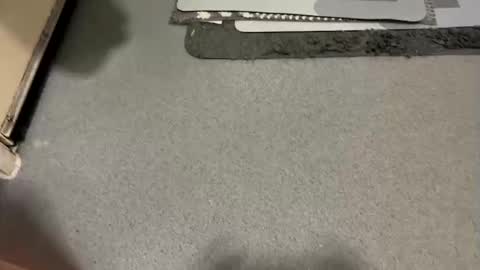 Snapshot of scottyc48 chatting on December 19, 7:48 am scottyc48 online show from December 19, 7:48 am