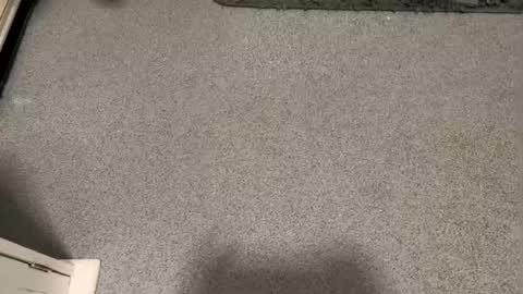 Snapshot of scottyc48 chatting on January 12, 3:17 pm scottyc48 online show from January 12, 3:17 pm