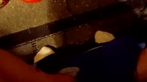 Snapshot of scruples99273286 chatting on October 5, 8:34 am scruples99273286 online show from October 5, 8:34 am