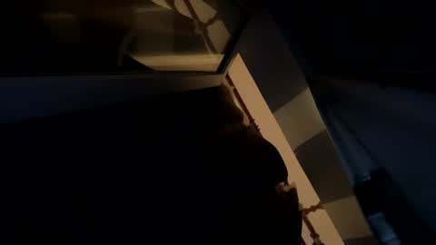 Snapshot of sdddisk chatting on January 22, 7:45 pm sdddisk online show from January 22, 7:45 pm