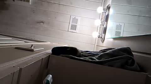 Arin online show from April 22, 9:55 am