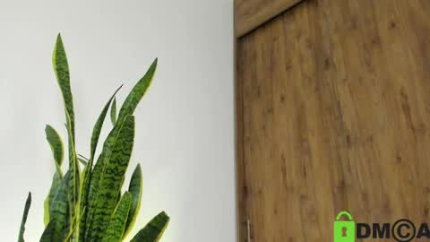 sebastian online show from April 21, 2:51 am