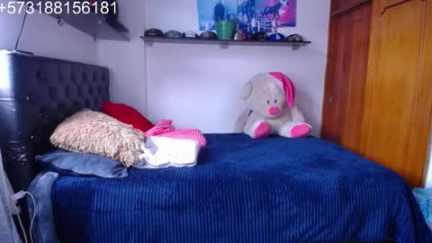 Snapshot of sebastian_posse chatting on November 24, 7:02 pm Myystiic online show from November 24, 7:02 pm