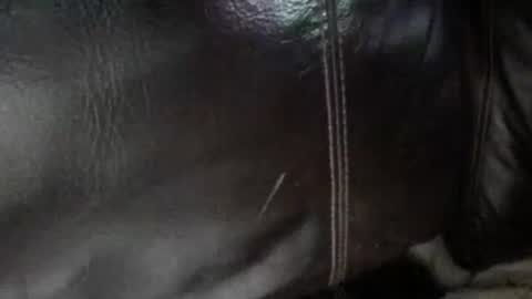 Sunny online show from January 13, 6:40 am