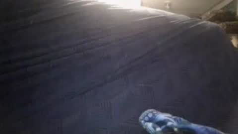 Sunny online show from February 24, 3:37 am