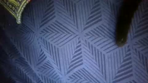 Sunny online show from April 18, 7:58 pm